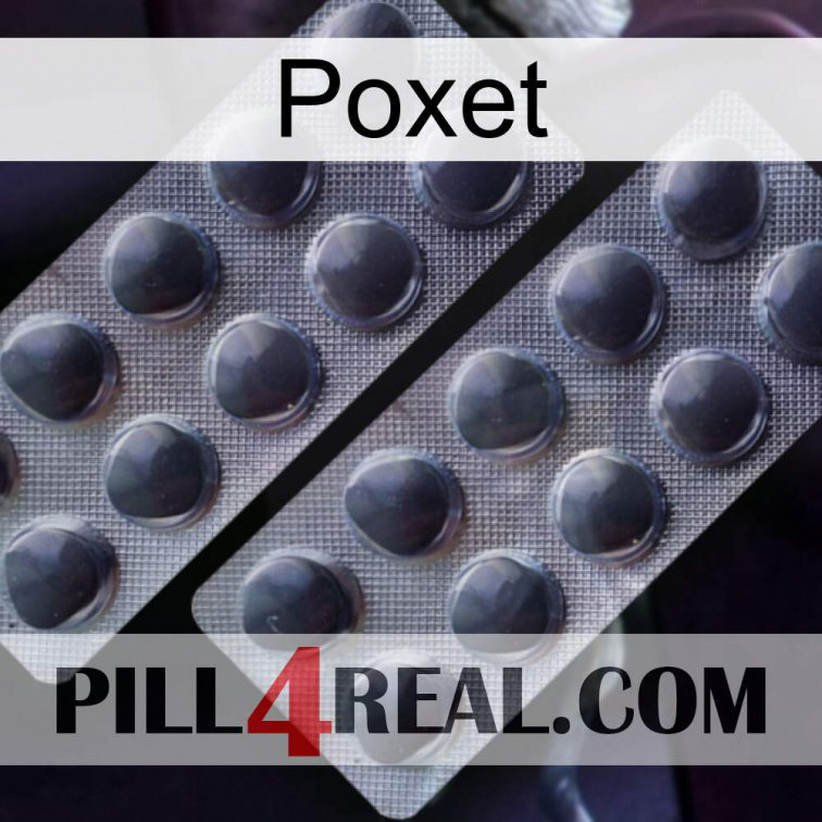 Poxet 31